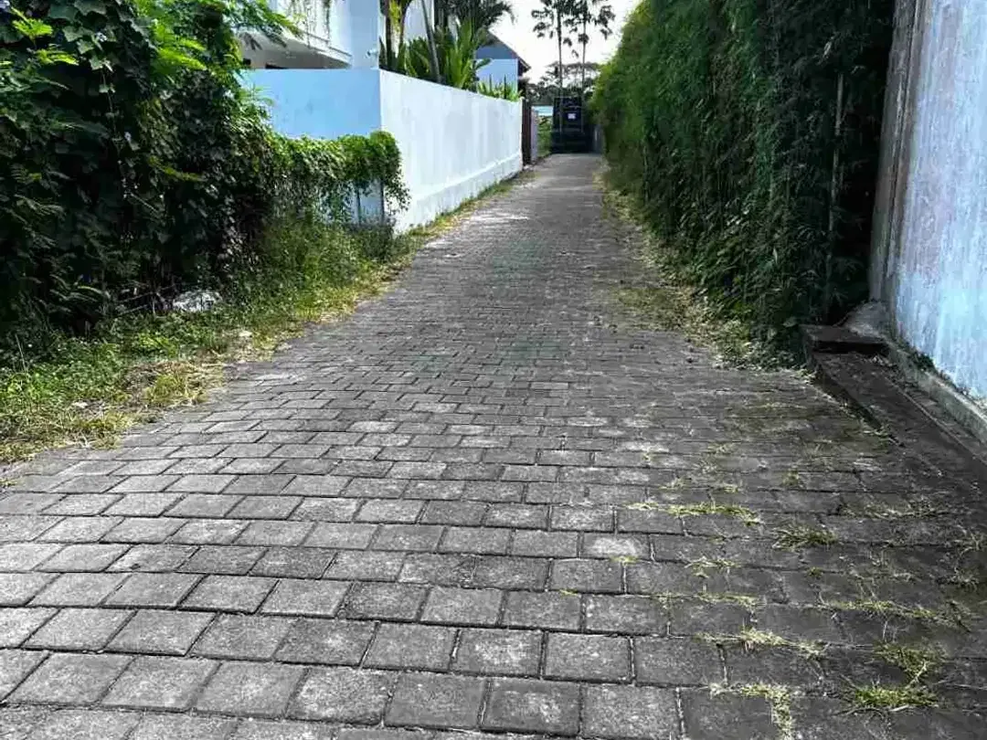 TANAH LUASAN KECIL DI CANGGU BERJARAK 1,5 KM DARI PANTAI BERAWA - Image 3 of 7