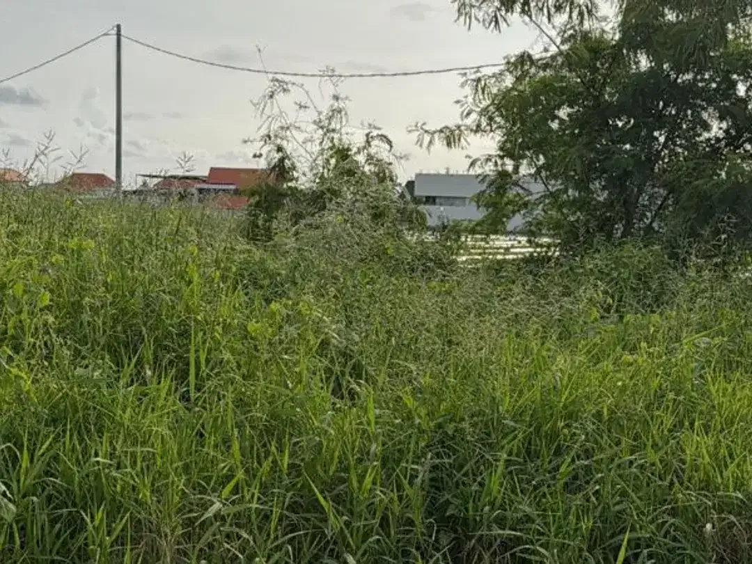 LEASEHOLD TANAH DEKAT PANTAI CEMAGI MENGWI BADUNG - Image 8 of 10