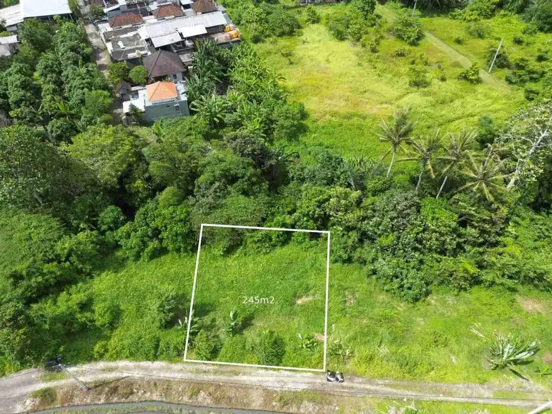 tanah plot kecil dekat pantai kedungu tabanan sangat bagus di bangun villa - Image 2 of 7