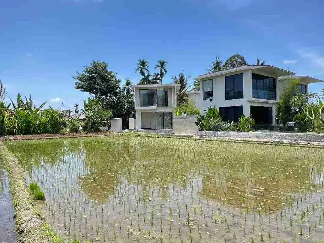 DIJUAL CEPAT TANAH SUPER PREMIUM STRATEGIS LOKASI BERADA DI LOD TUNDUH UBUD GIANYAR BALI. LINGKUNGAN PRIVATE VILLA LAHAN INI SANGAT COCOK DI KAVLING VILLA / DI BUAT KOMPLEKS VILLA / DI BANGUN HOTEL - Image 8 of 10