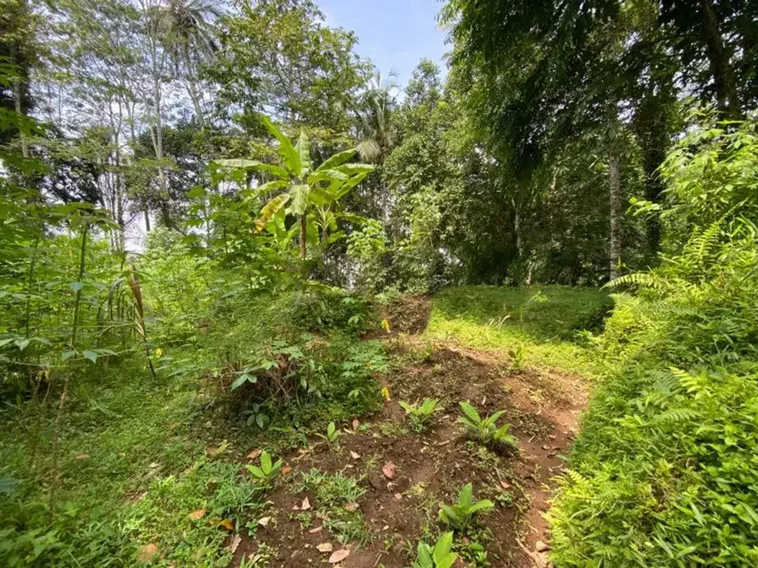 FREEHOLD LAND FOR SALE IN UBUD - Image 5 of 8