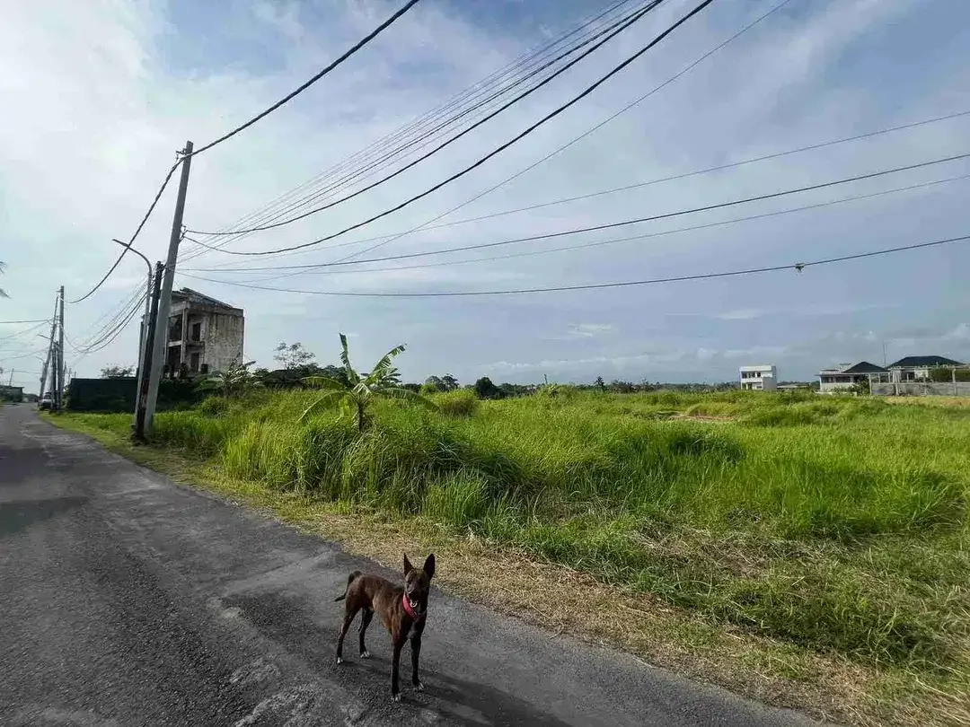 Dijual Tanah 3.080 m² di Cemagi Badung, SHM - Image 7 of 10