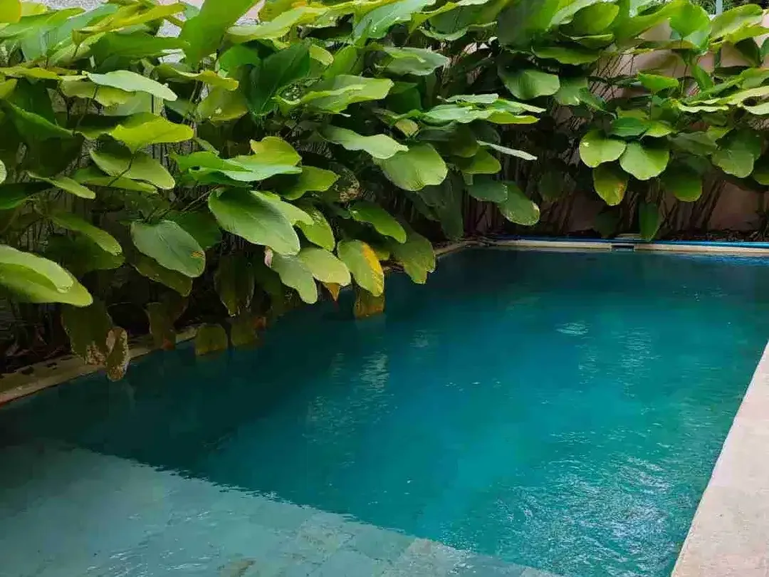 disewakan Tahunan villa 3 bedroom fully furnished dipurigading jimbaran Kuta Selatan Badung Bali - Image 2 of 10