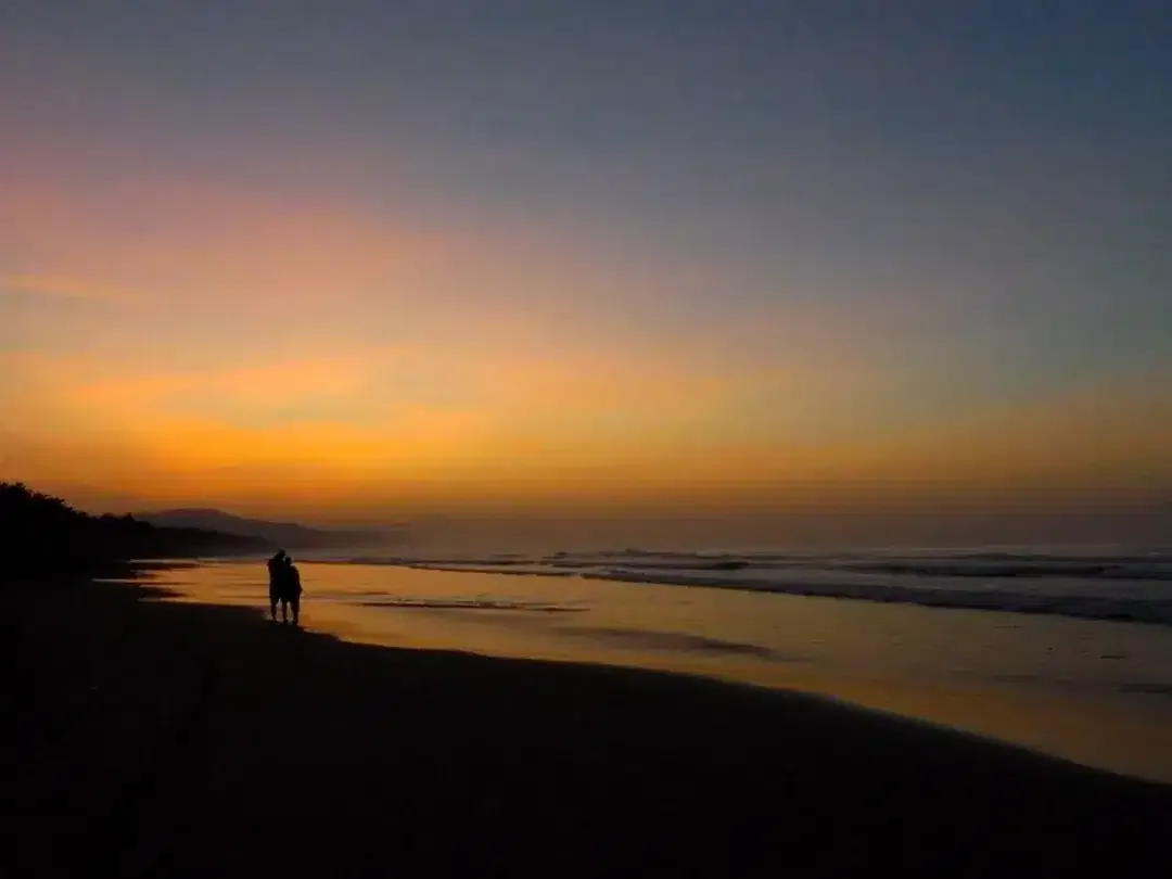 Amazing 37,915 Sqm Beachfront Freehold Land In Jembrana Negara - Image 10 of 10
