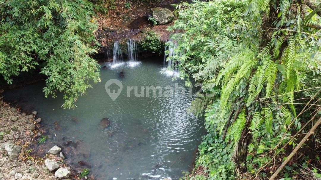 Tanah Tepi Air Terjun Gunung Salak Selemadeg Tabanan Bali - Image 2 of 4