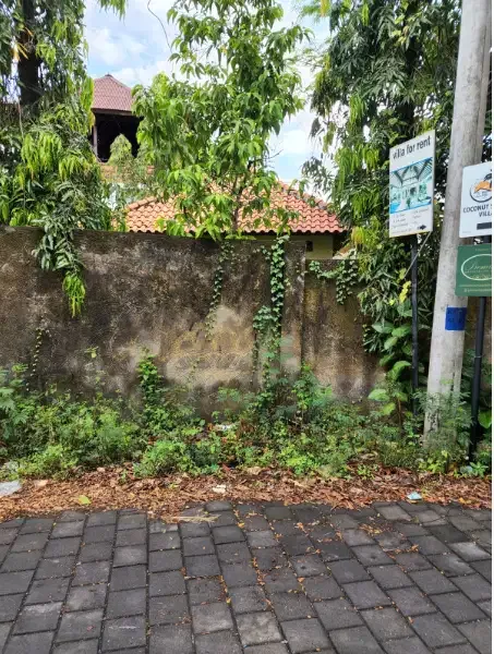 Tanah Murah 12 Are di Berawa Canggu - Image 5 of 9