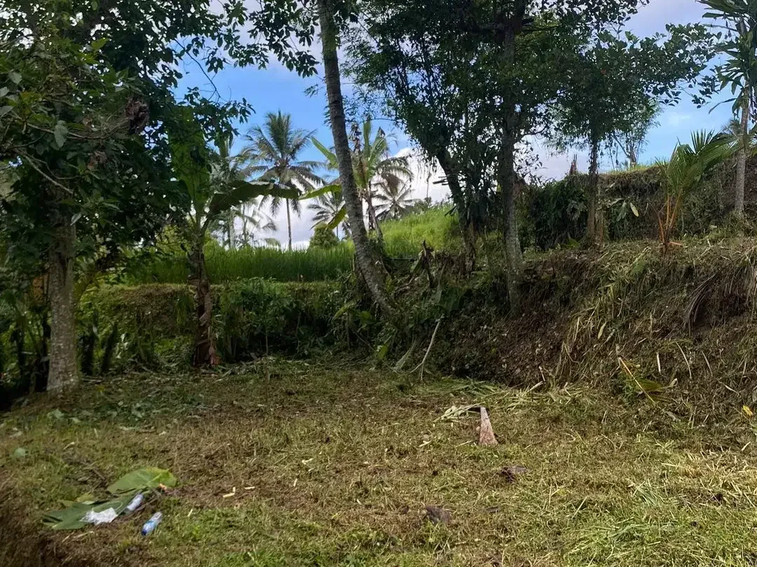 Land for sale in Tegallalang, Bali - Image 3 of 10