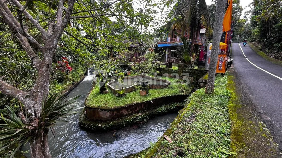 Jual Tanah Dan Rumah Murah Di Tabanan Bali - Image 4 of 4