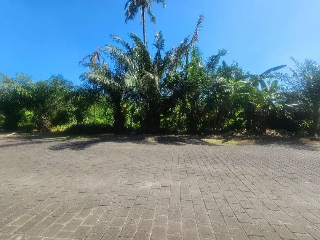 Tanah view sawah Greenlot munggu - Image 10 of 10
