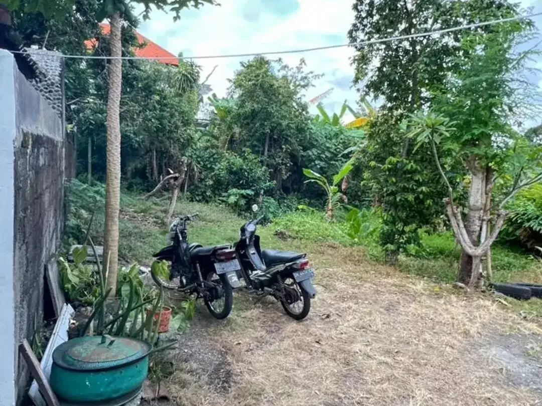 tanah SHM mepet canggu, villa area, view sawah itr kuning - Image 4 of 8