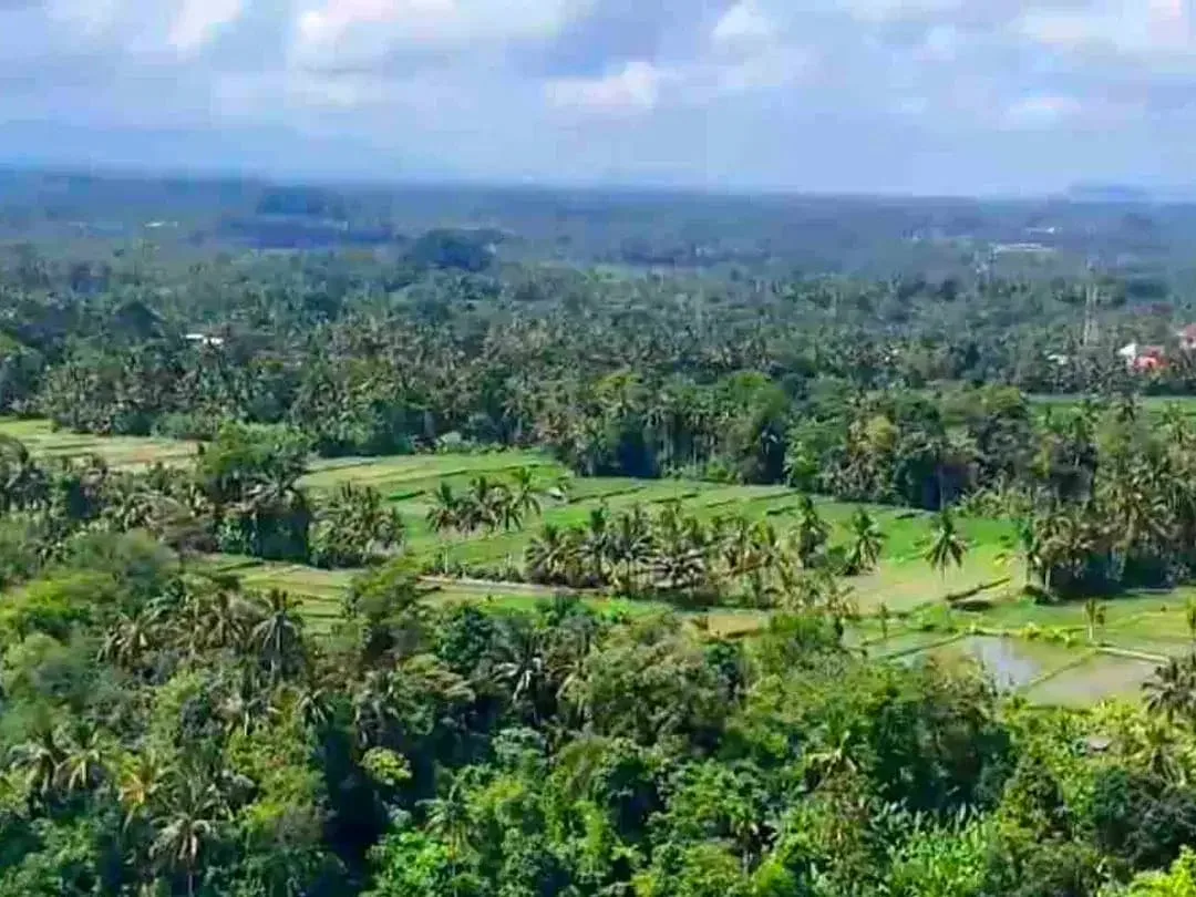 Tanah Riverside Buahan Ubud 500 mtr Hanging Garden hotel - Image 8 of 10