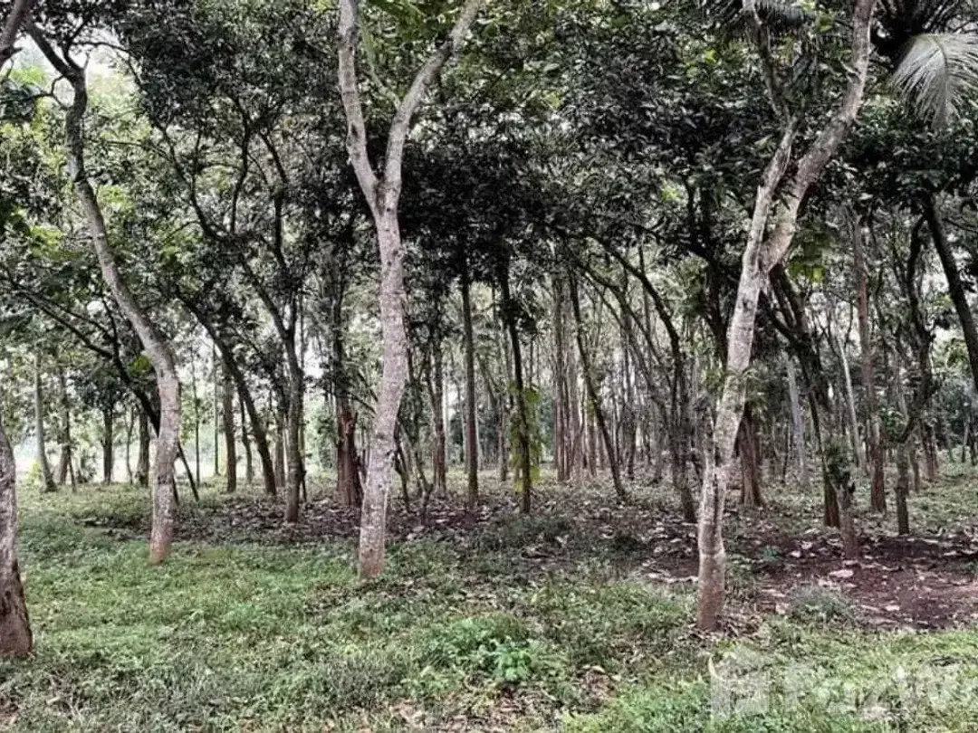 Land for sale in Kaba Kaba, Bali - Image 4 of 10