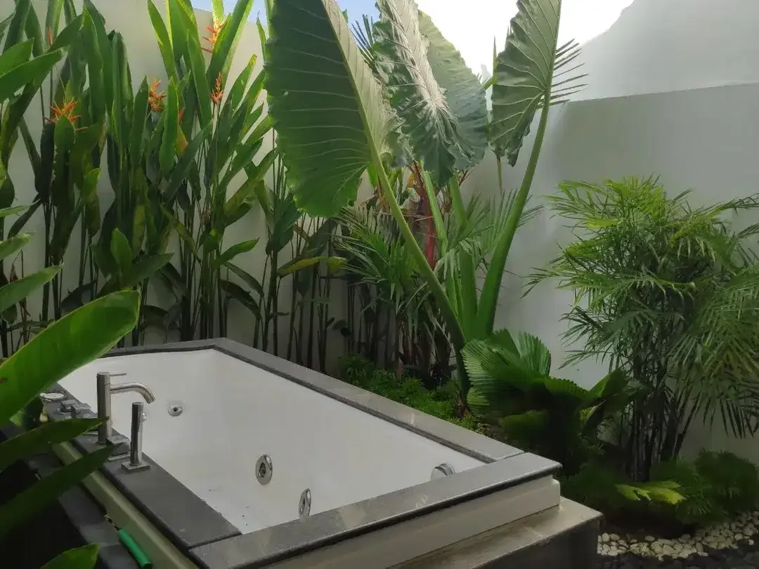Dijual rumah di Saba, Gianyar. Semi Furnished - Image 2 of 10