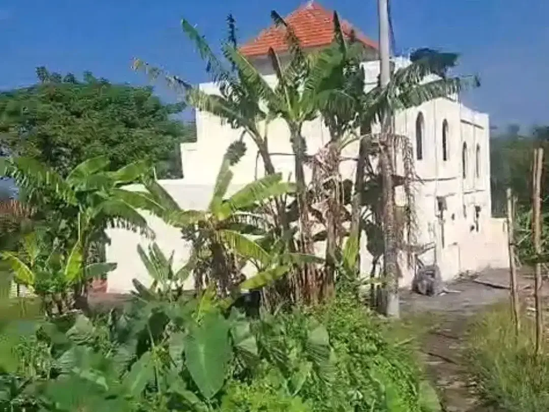 Tanah Kosong Siap Bangun Tibubeneng Canggu Kuta Utara - Image 3 of 4