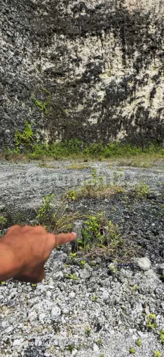 Dijual Tanah Jln Goagong- Badung - Image 2 of 4