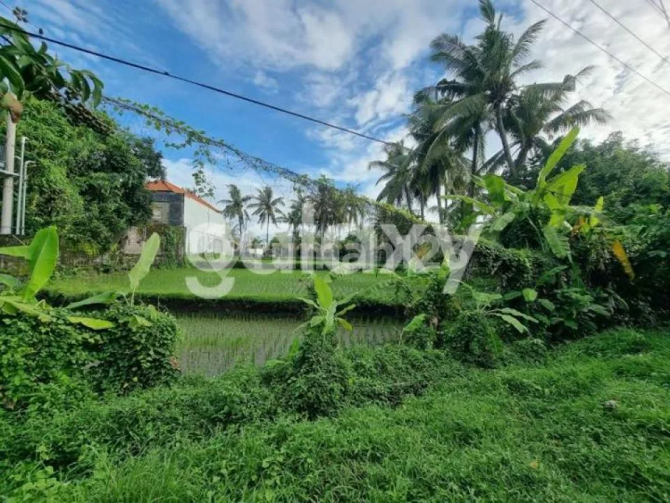 Tanah Prof Ida Bagus Mantra Gianyar, Bali - Image 2 of 4