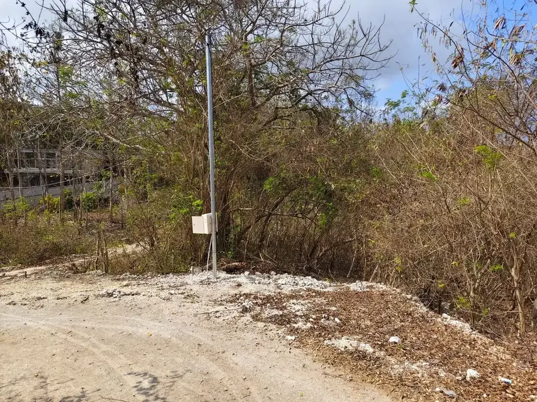 Dijual murah tanah di Jl Mundeh, Kutuh, Kuta selatan, Badung, Bali - Image 6 of 7