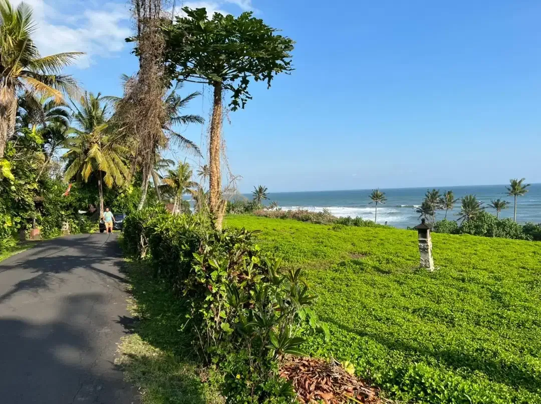 DIJUAL TANAH PREMIUM BEACHFRONT DI TABANAN - Image 9 of 10