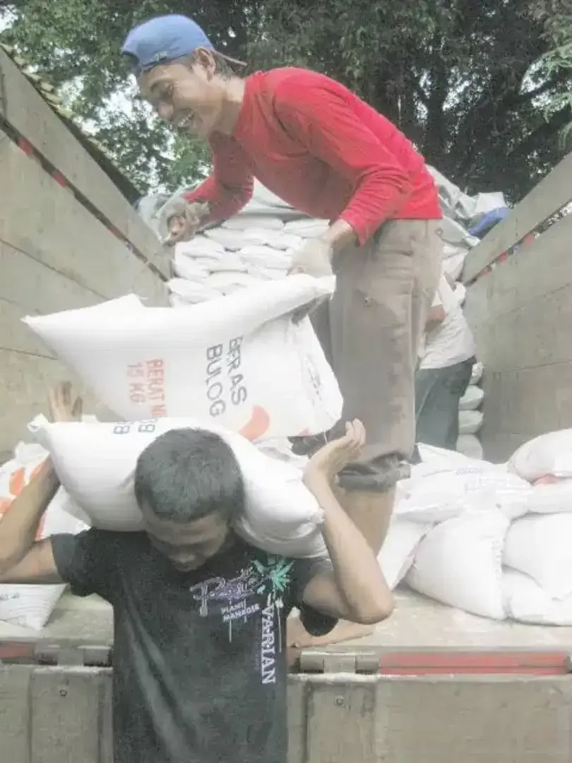 Tenaga angkat pria/ kuli panggul - Image 2 of 2