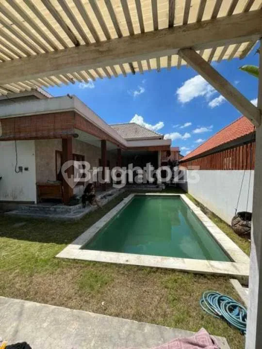 Villa 3 Bedrooms Private Pool di Padang Linjong - Canggu - Image 3 of 4