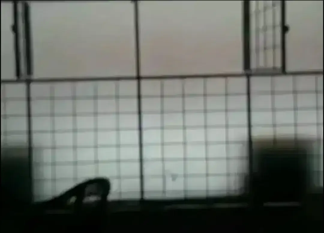 Kemampuan stikersanblas kacafilm mampu menghambat cahayamatahari masuk - Image 1 of 1