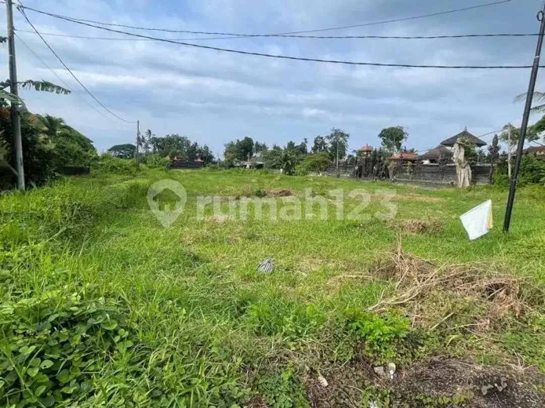 Tanah Kavling Strategis 119M² Siap Bangun Bongan Tabanan, Hadap Barat, SHM, Rp 316 Juta - Image 7 of 7