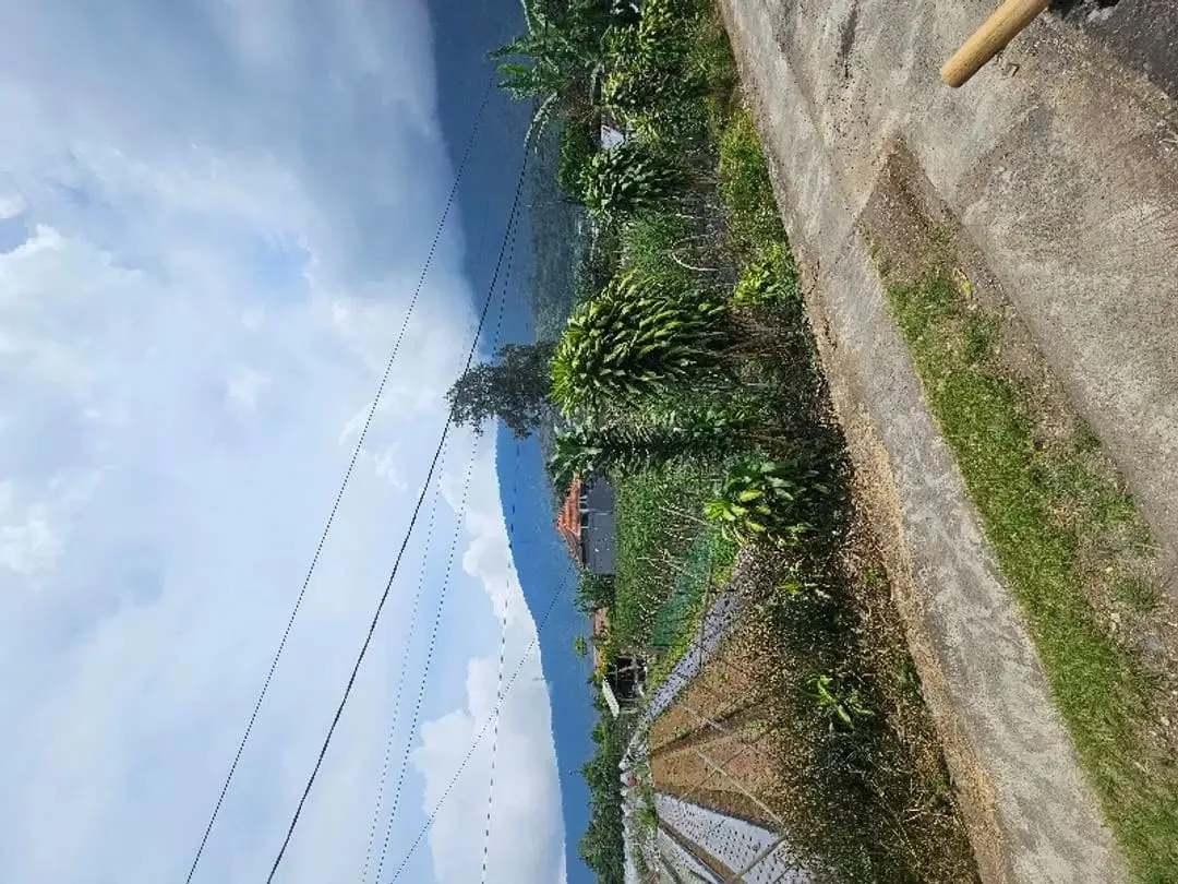 Tanah kebun zona residen cocok untuk investasi dan billa - Image 5 of 9