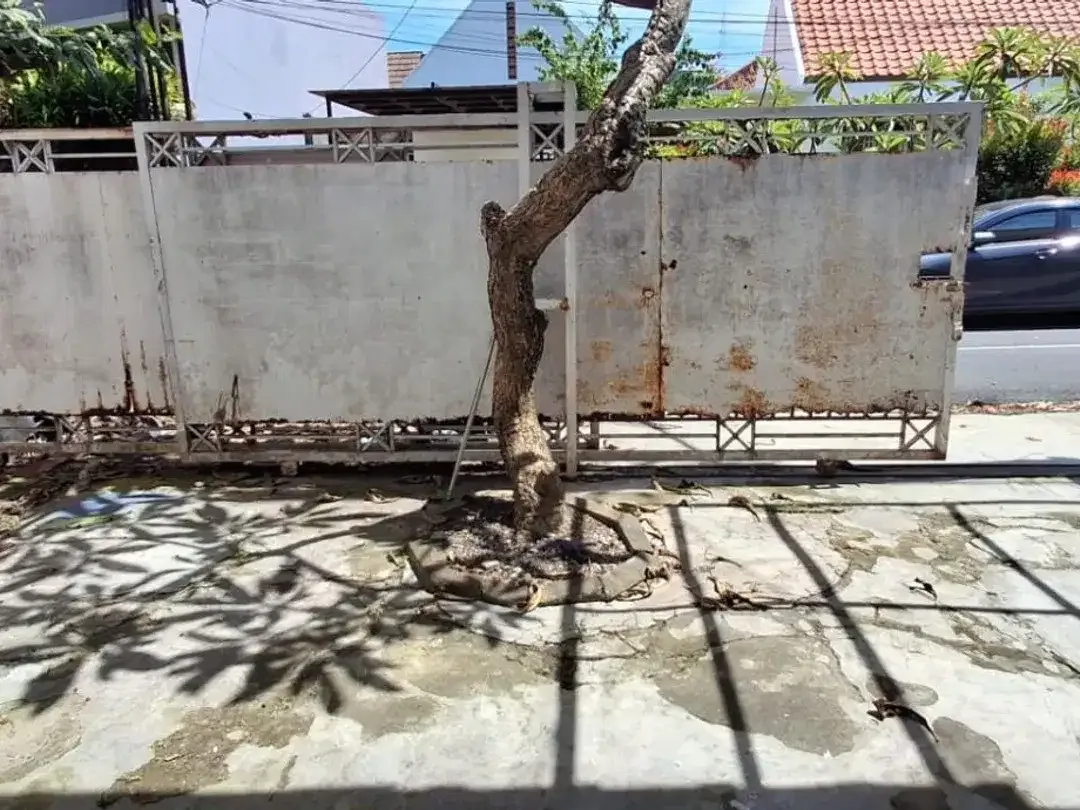 Disewakan tanah bonus rumah tempat usaha di Renon Lokasi belakang Fit Hub Renon - Image 5 of 6