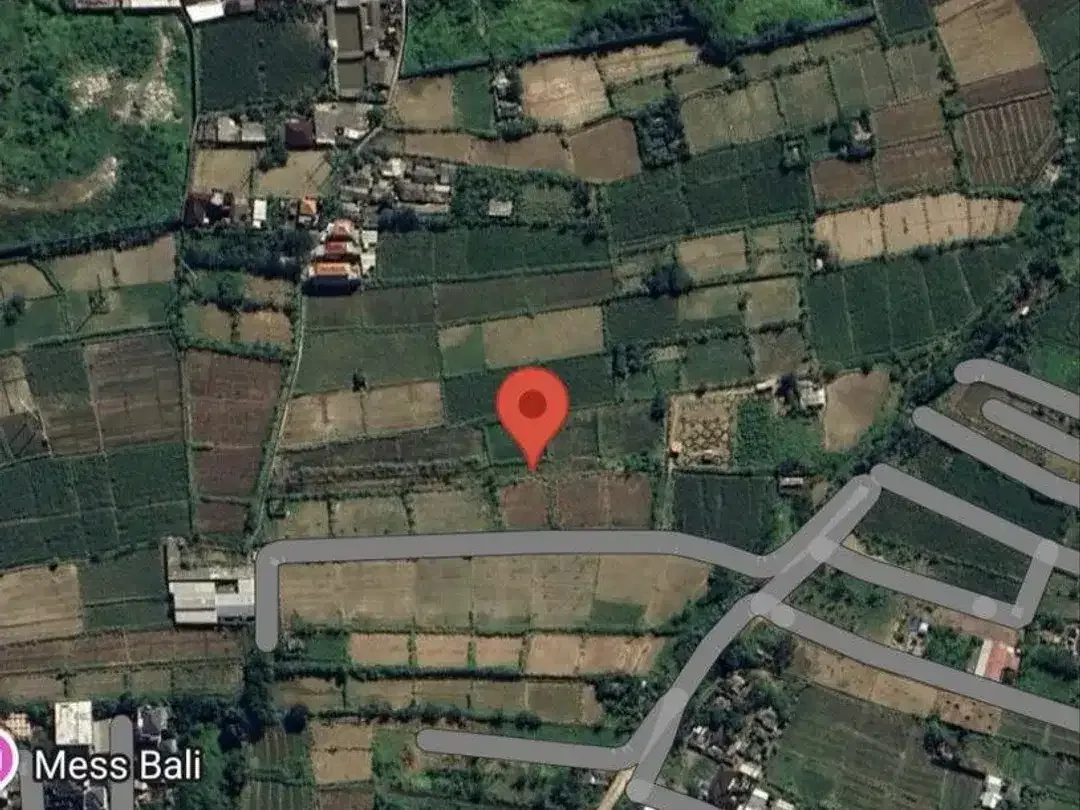 Tanah Pertanian 19,7 Are View Sawah Dijual, di Area Padang Galak Sanur - Image 4 of 4