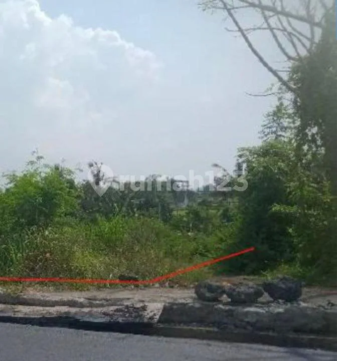 Disewakan Tanah Area Gianyar Luas Tanah 797 MÂ² - Image 1 of 4