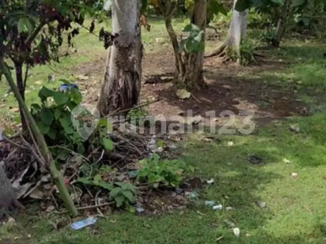 Dijual Tanah Dekat Pantai Balangan - Zona Pink (Pariwisata) - Image 3 of 10
