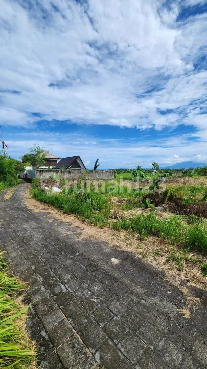 Tanah Cemagi 500 dan 430MÂ² Itr Pariwisata - Image 3 of 4