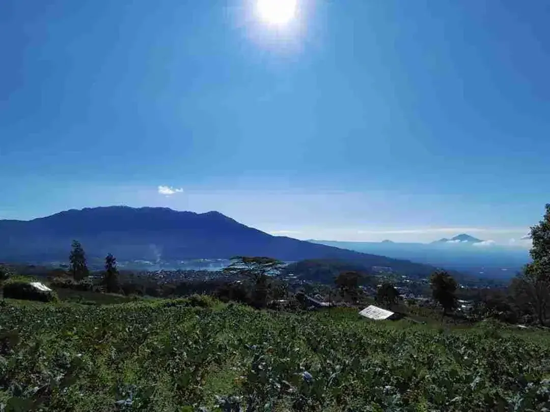 Tanah View Danau dan Kota di Baturiti Bedugul Bali - Image 1 of 9