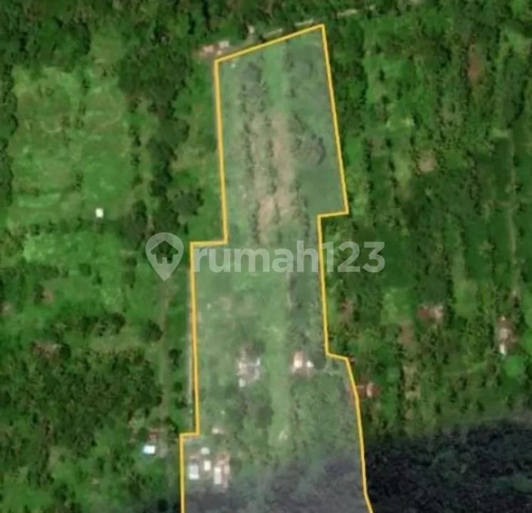 Tanah Tepi Sungai Ayung Ubud Dijual - 3,5 Ha Pink Zone - 14 SHM - Investasi Resort & Luxury Villa - Image 3 of 3