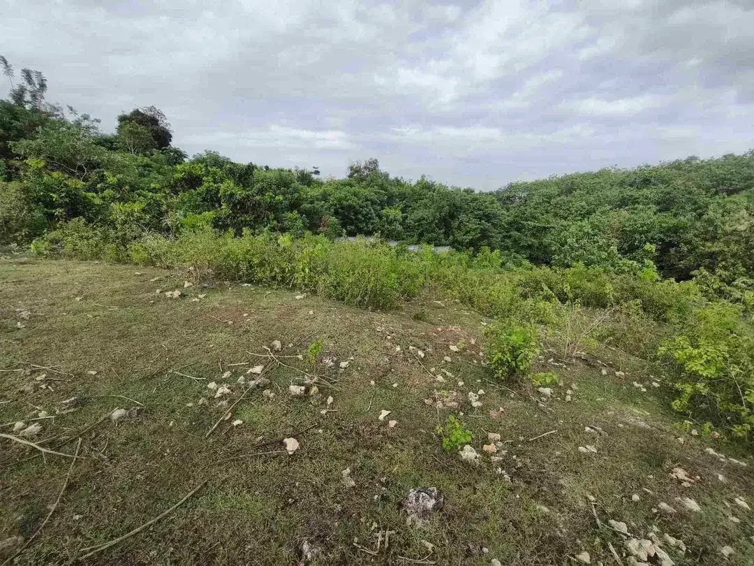 dijual tanah 400m² IDR 650 jutaper are dekat rektorat kampus unud jimbaran - Image 2 of 10