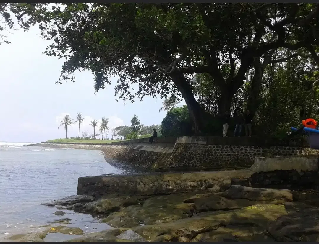 DIJUAL TANAH LOS PANTAI BERABAN DAN SUNGAI DI TABANAN - Image 6 of 10
