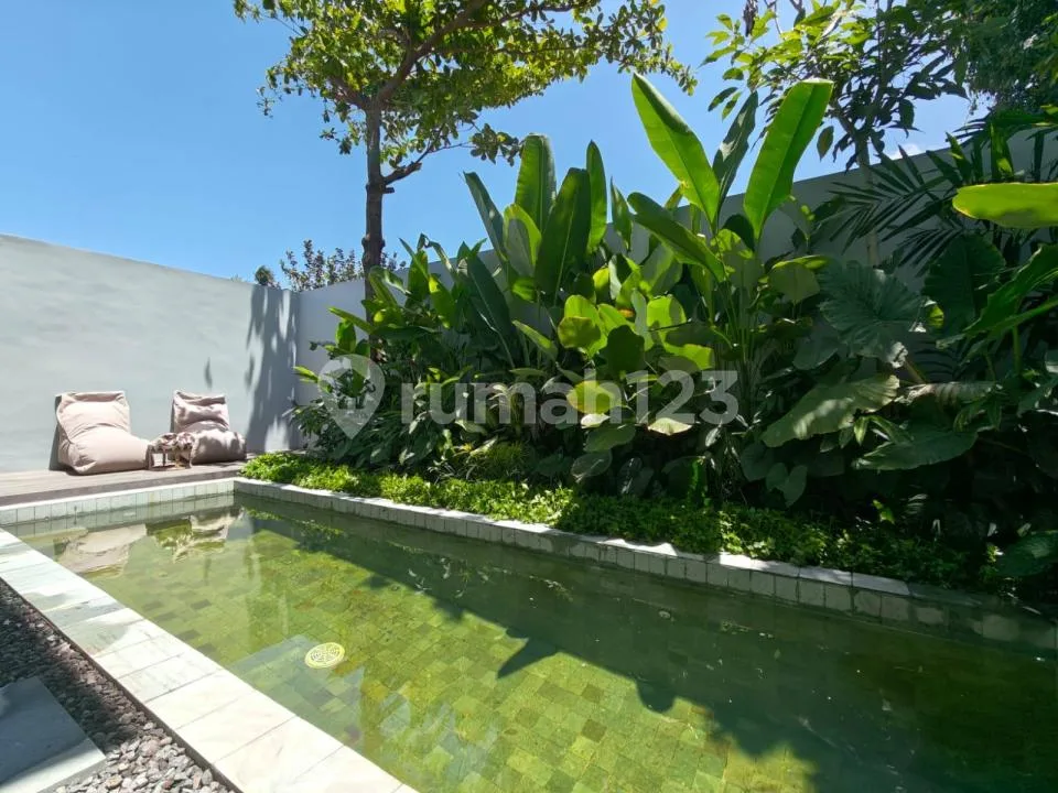 Brand New Premium 4 Bedrooms Residence With Ricefield View In Renon, Near Sanur - Image 3 of 4
