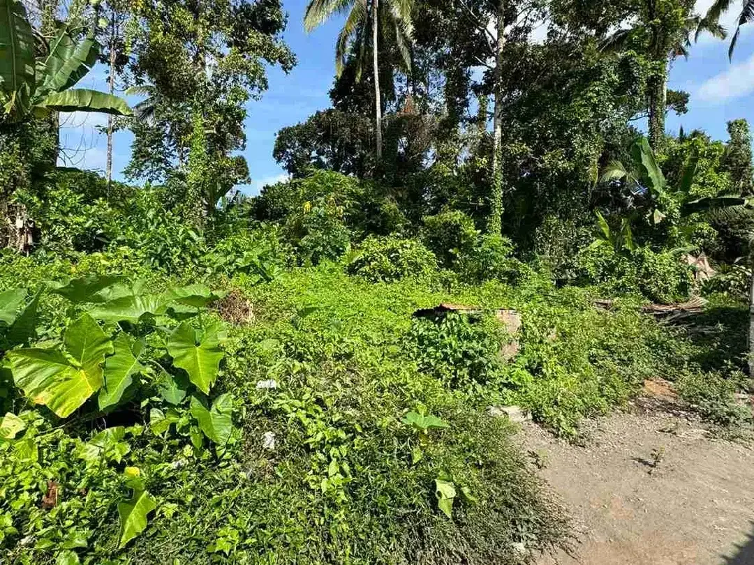 Tanah Strategis di Kedewatan Ubud Cocok untuk Vila dan Investasi - Image 8 of 10