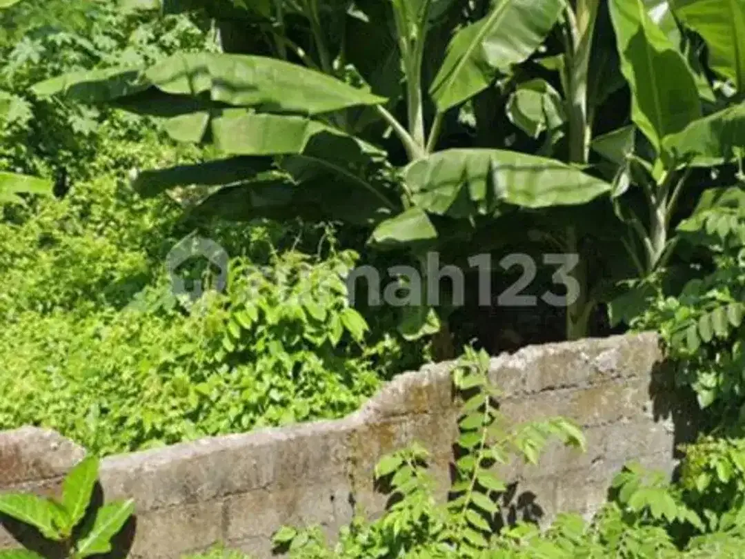 Dijual Tanah Pinggir Jalan Area Perumahan Jimbaran - Image 4 of 7