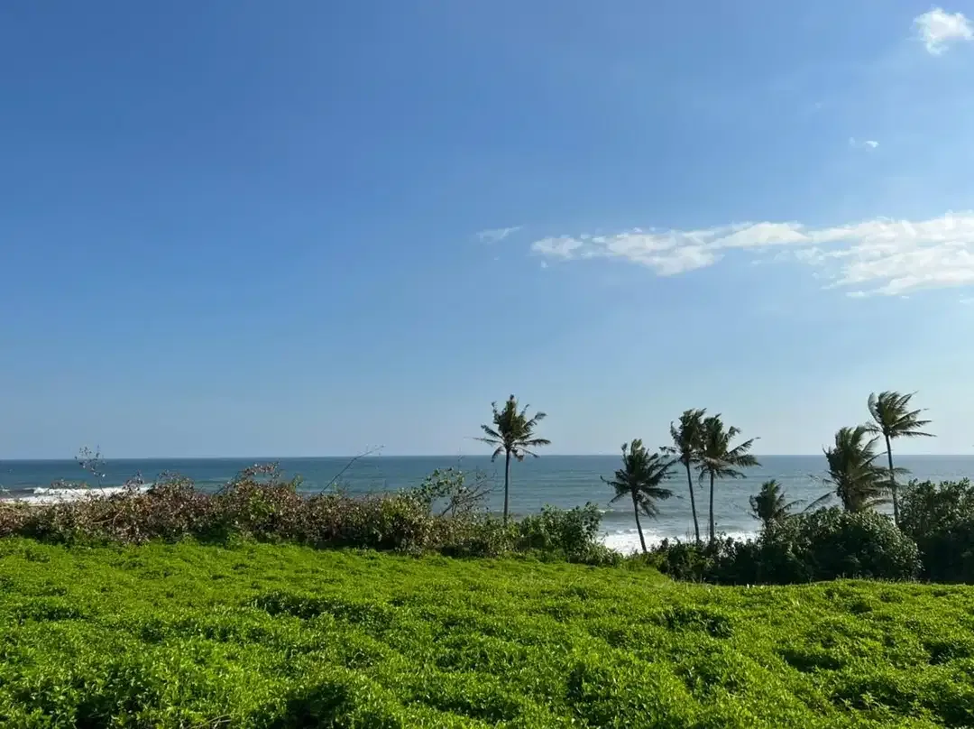 DIJUAL TANAH PREMIUM BEACHFRONT DI TABANAN - Image 7 of 10