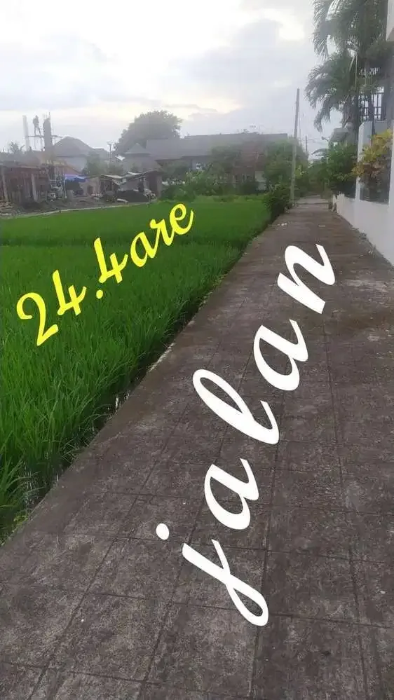 DIJUAL TANAH LINGKUNGAN VILLA DEKAT PANTAI CEMAGI - Image 2 of 4