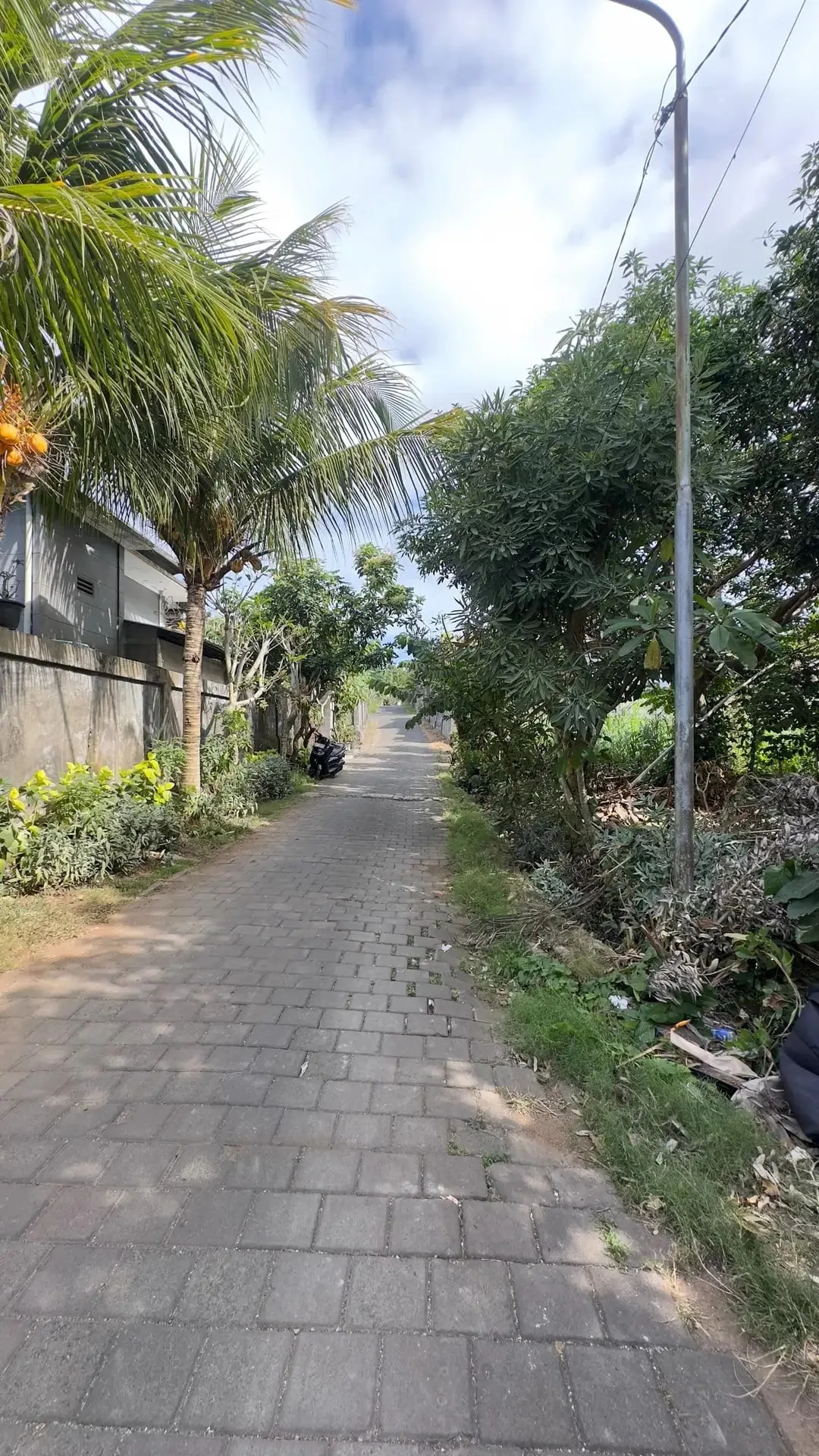 Dijual Tanah Plot Kecill 200m2 di Kawasan Bingin Uluwatu Bali - Image 6 of 10