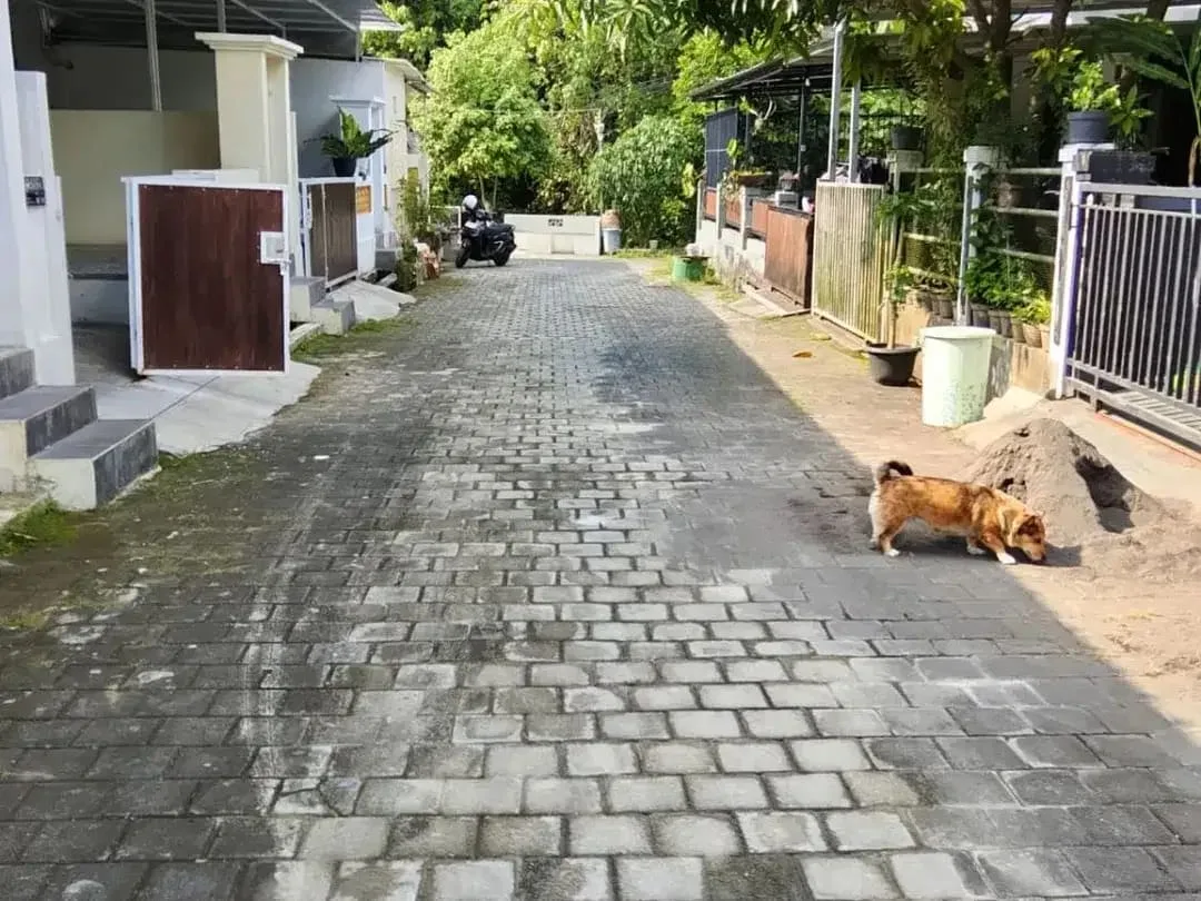 Disewakan rumah murah bagus di The Royal Griya Loka Tabanan Bali siaphuni minimalis modern - Image 4 of 7