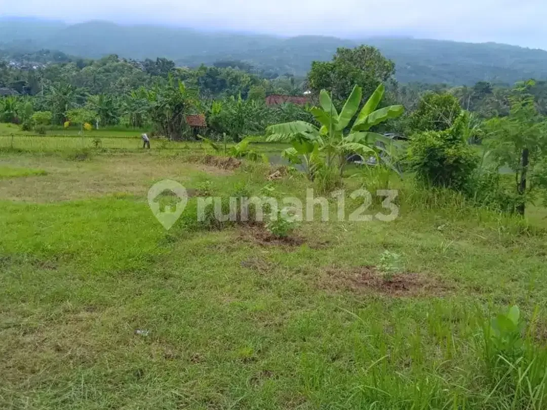 Jarang Ditemukan! Tanah Premium 1.700 M² di Singaraja-Lovina - Image 4 of 8