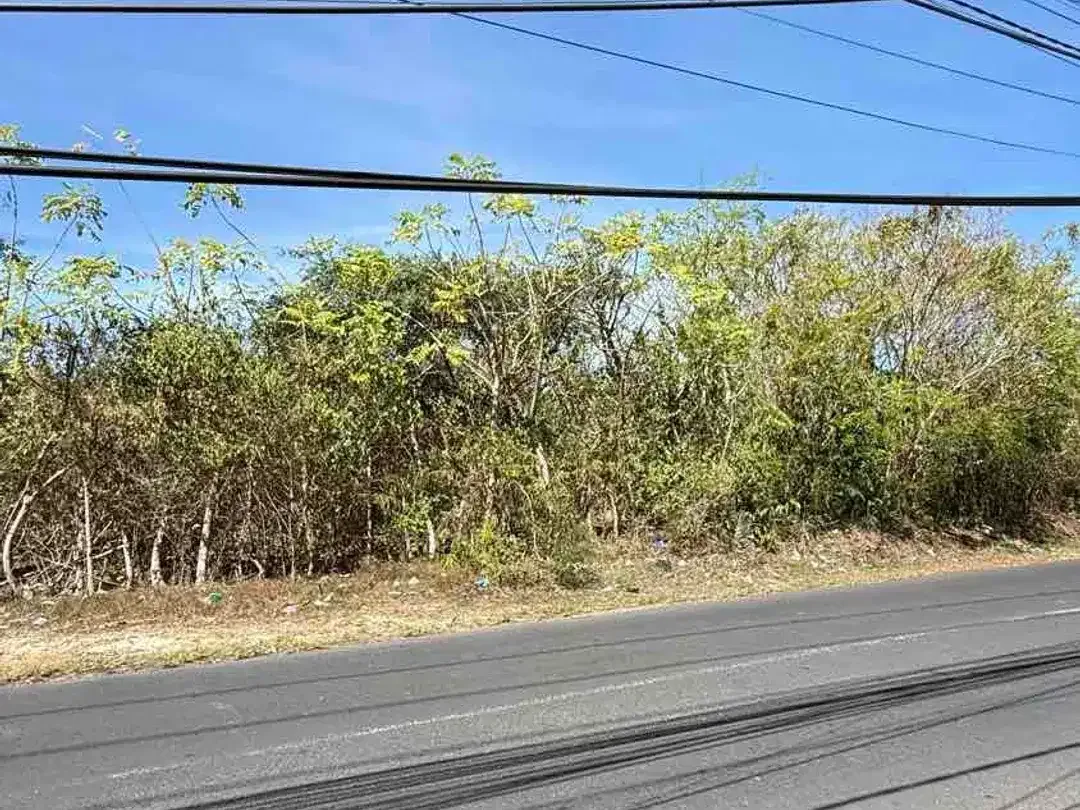 DIJUAL TANAH STRATEGIS DI DEPAN i-Villa GOA GONG – UNGASAN, BALI - Image 6 of 10