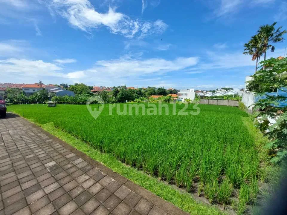 Rumah Style Villa di Jl Tegal Cupek Viewnya Persawahan - Image 3 of 4