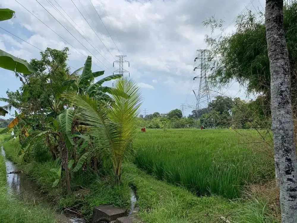 TANAH VIEW SAWAH DAN SUNGAI DI TABANAN - Image 5 of 10