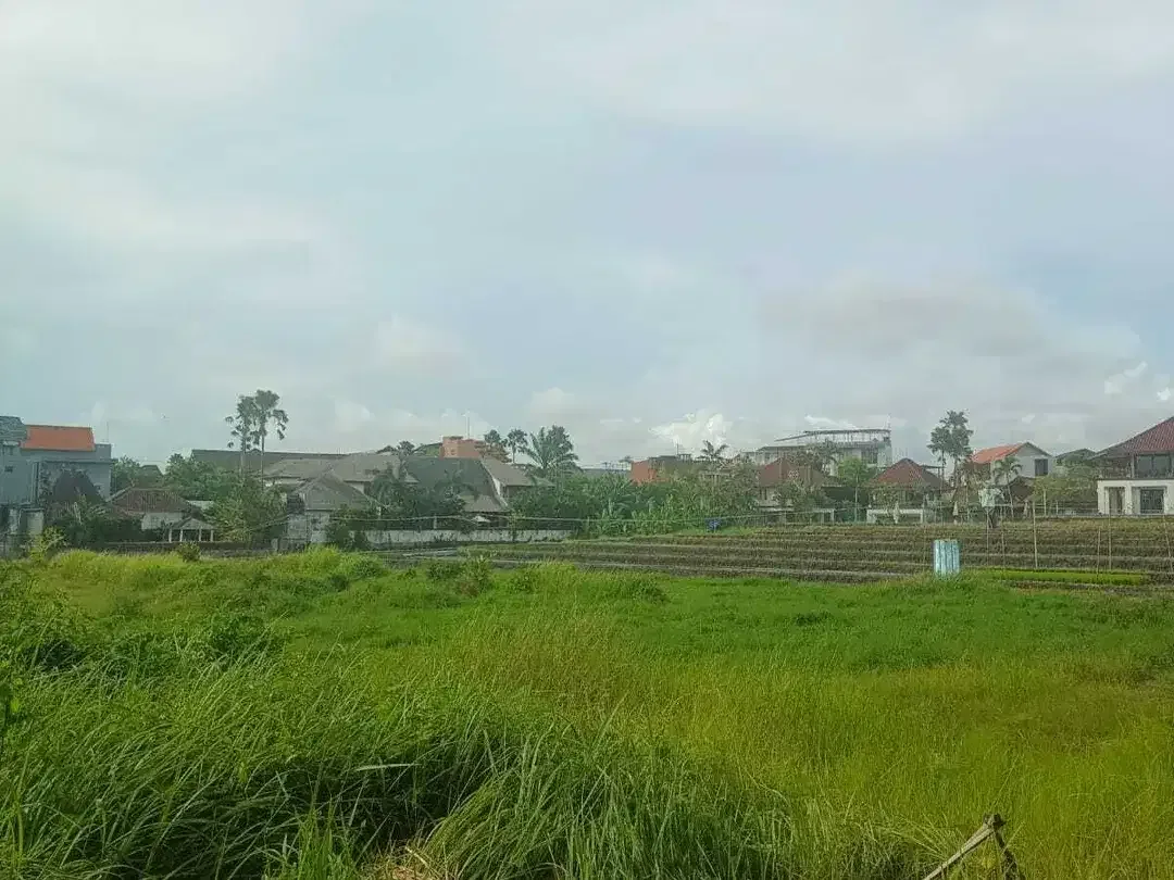 Land for sale in Mengwi, Bali - Image 6 of 10
