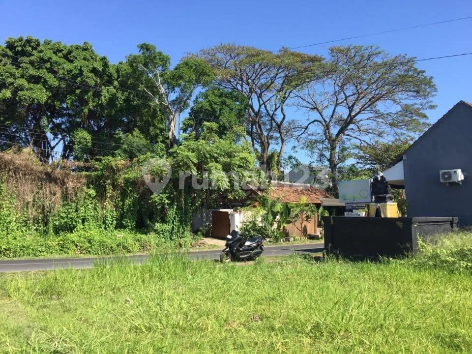 Dijual Tanah di Padang Lingjong, Canggu - Image 4 of 4