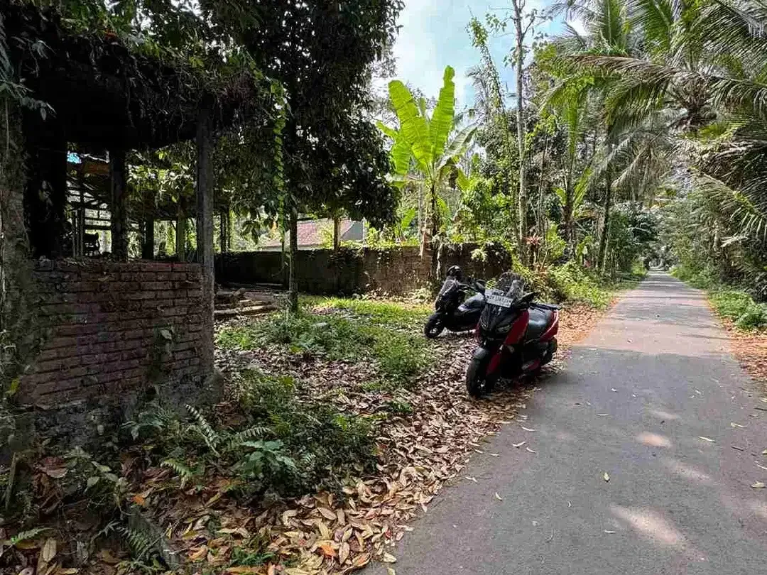 Tanah 212m² Lingkungan Villa Kelusa Ubud - Image 4 of 8